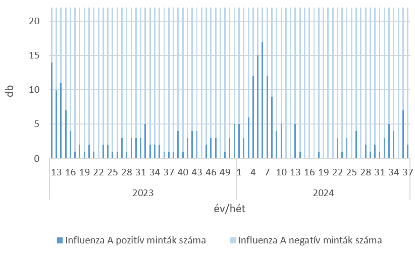 szennyviz 2024 37 6
