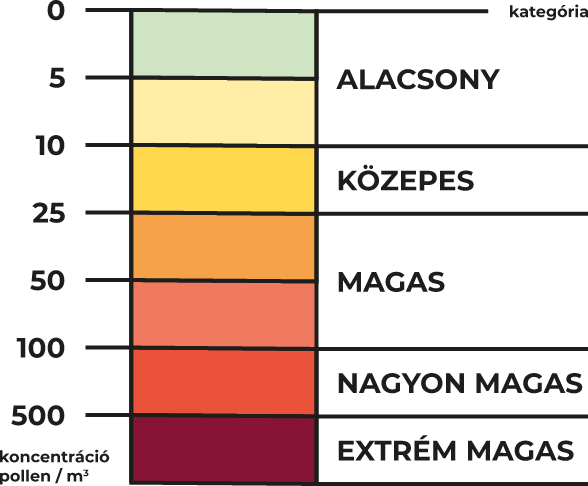 pollen allo magyar