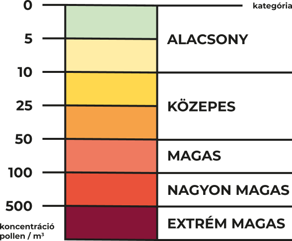 pollen allo magyar